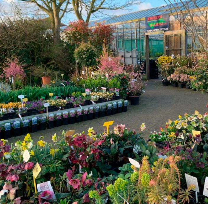 Haal het voorjaar in je tuin!