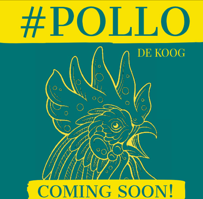 Pollo